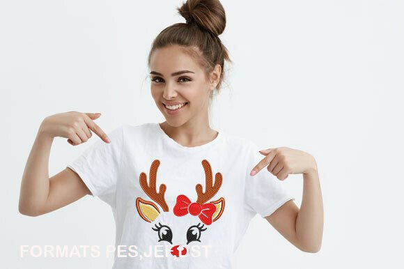 Christmas Deer Face: A Designer's Review for Holiday Stitching